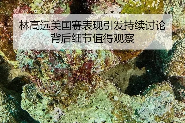 林高远美国赛表现引发持续讨论 背后细节值得观察